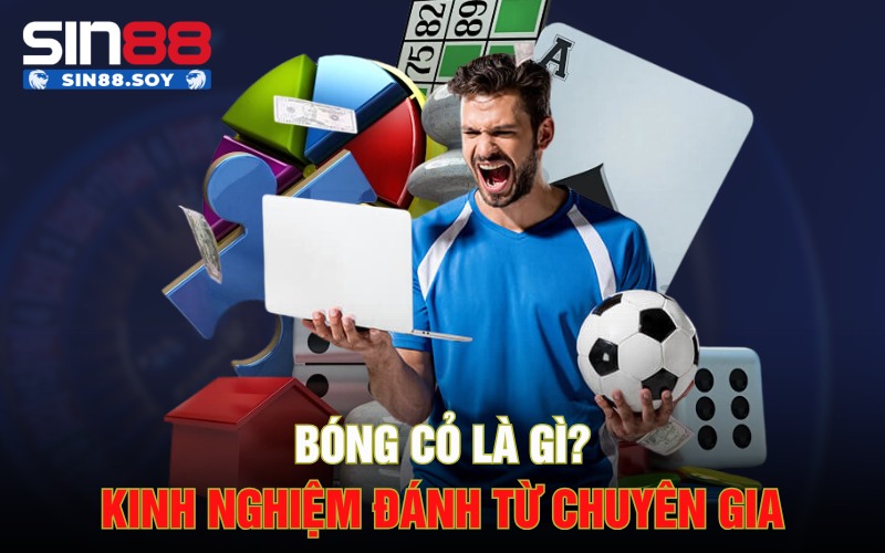 Bóng Cỏ Là Gì? Kinh Nghiệm Đánh Đâu Thắng Đó Từ Chuyên Gia 1 Bóng Cỏ Là Gì? Kinh Nghiệm Đánh Đâu Thắng Đó Từ Chuyên Gia