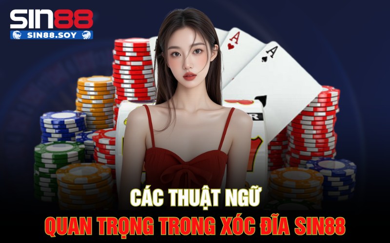 Khám Phá Xóc Đĩa Sin88 | Tổng Hợp Các Ưu Đãi Chưa Từng Có 2 Các thuật ngữ quan trọng trong xóc đĩa Sin88