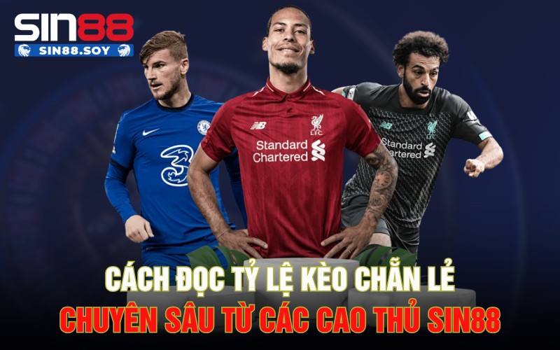 Cách Đọc Tỷ Lệ Kèo Chẵn Lẻ Chuyên Sâu Từ Các Cao Thủ Sin88 1 Cách Đọc Tỷ Lệ Kèo Chẵn Lẻ Chuyên Sâu Từ Các Cao Thủ Sin88