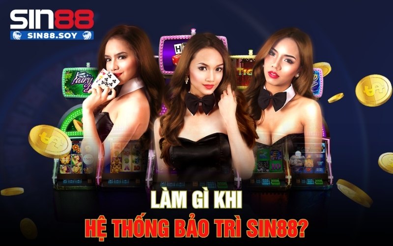 Bảo Trì Sin88 | Đảm Bảo Trải Nghiệm Sân Chơi Đỉnh Cao 3 Làm gì khi hệ thống bảo trì Sin88?